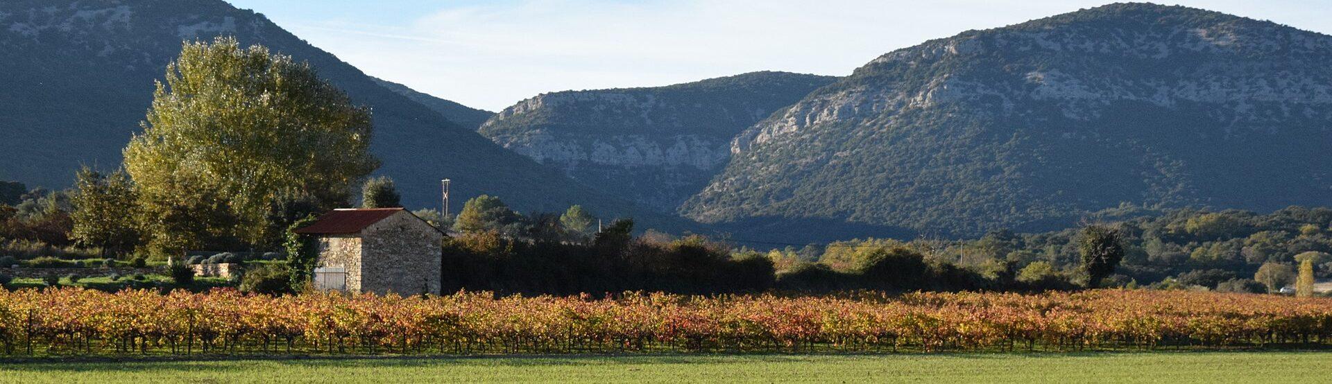 Massif de coutach